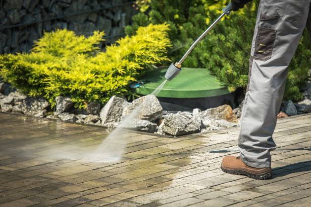 Best Spring Cleaning  in Brookville, IN