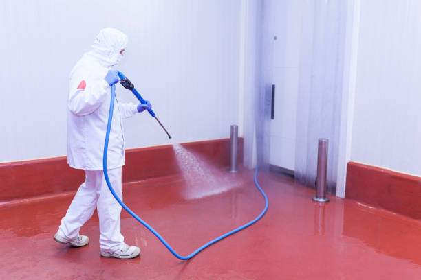 Best Sign and Awning Cleaning  in Brookville, IN