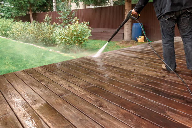 Best Soft Washing  in Brookville, IN