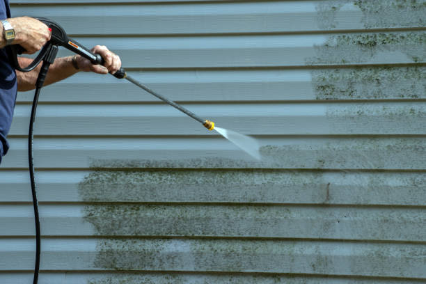 Best Dumpster Area Cleaning  in Brookville, IN