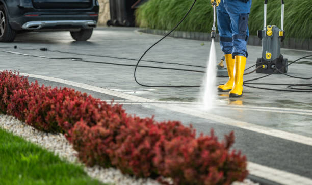 Best Solar Panel Cleaning  in Brookville, IN